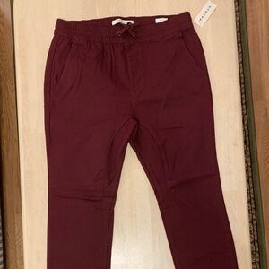 PacSun Joggers (Brand New)